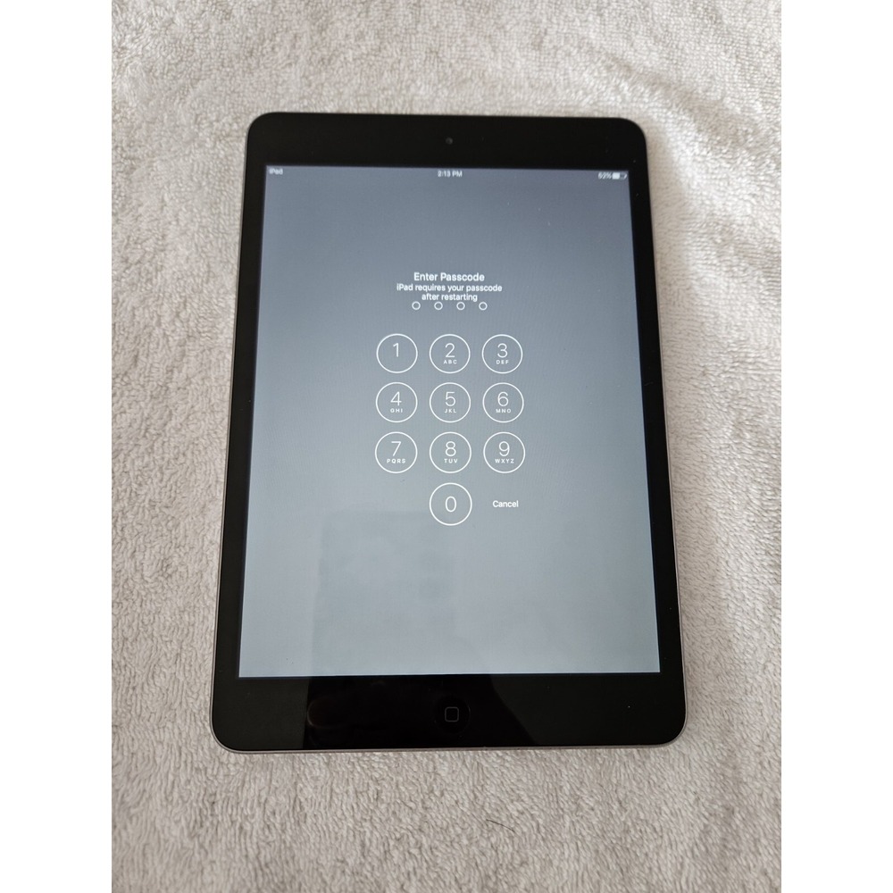 Apple Ipad A1489 Dark Gray Parts‎ Only Read Condition bundled